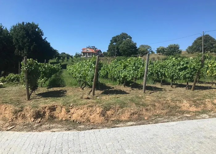 Quinta Casa Do Retiro ファームステイ *