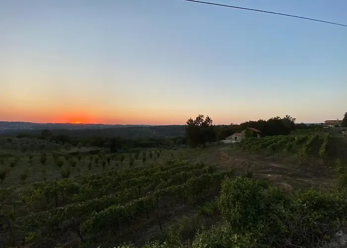 ファームステイ Quinta Casa Do Retiro