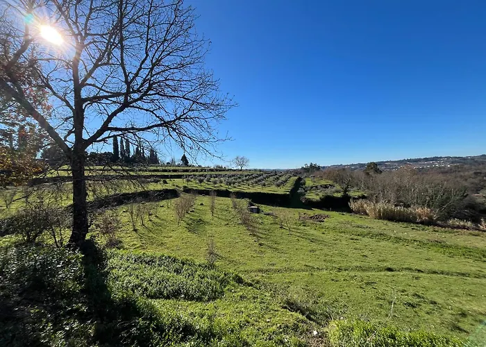 ファームステイ Quinta Casa Do Retiro