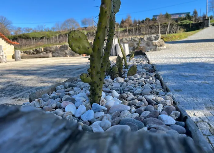 ファームステイ Quinta Casa Do Retiro ペナルヴァ・ド・カステロ